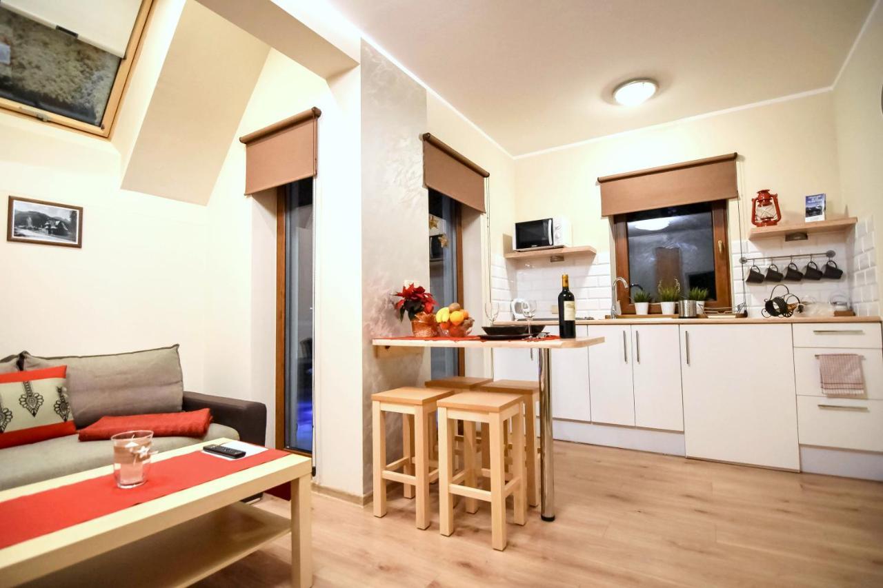Srebrny Swierk Apartment